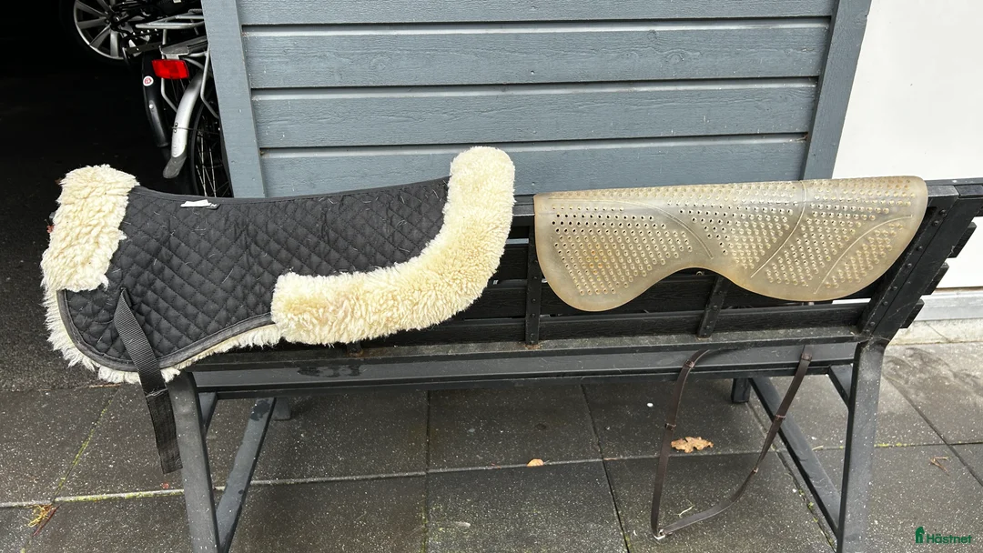 Övrig Hästutrustning hästutrustning till salu: Diverse hästutrustning i Halmstad - Annons 20