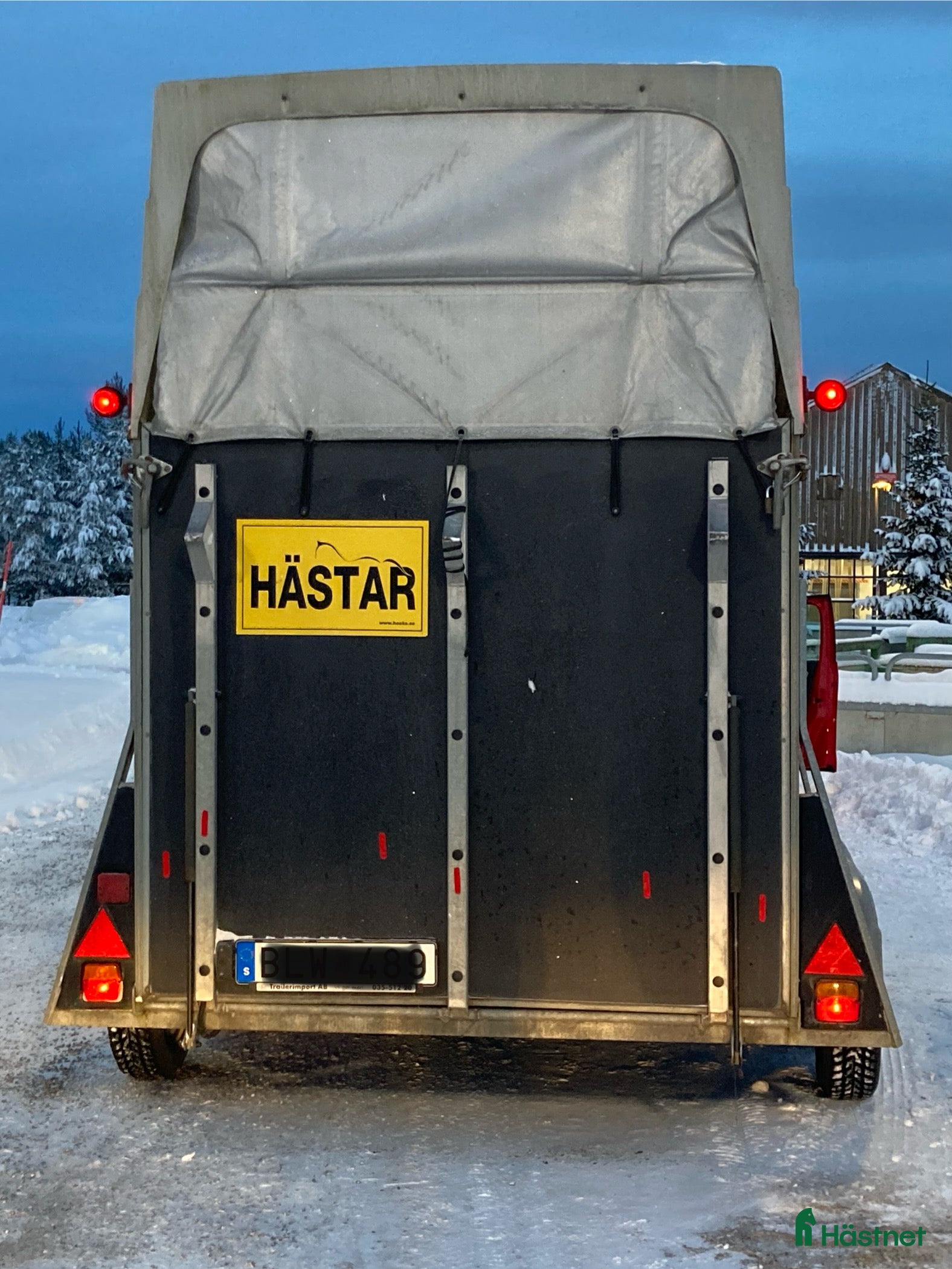 Hästtransporter  fordon & transport till salu: Christ Cortez -08 i Umeå - Annons 3