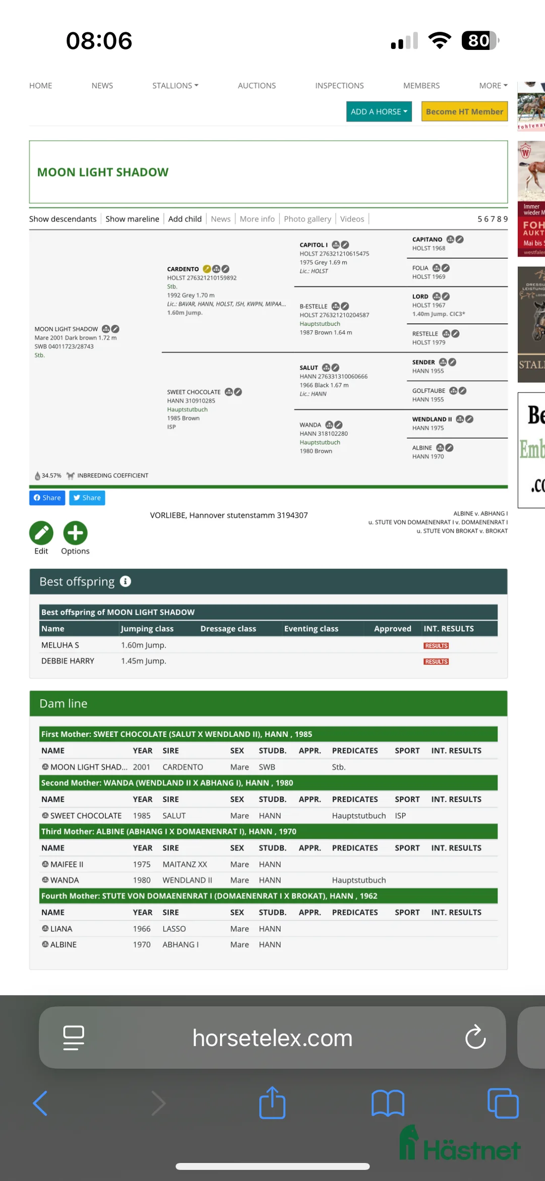 Hoppning hästar till salu: Extremt talangfull 7 åring  i Sala - Annons 2