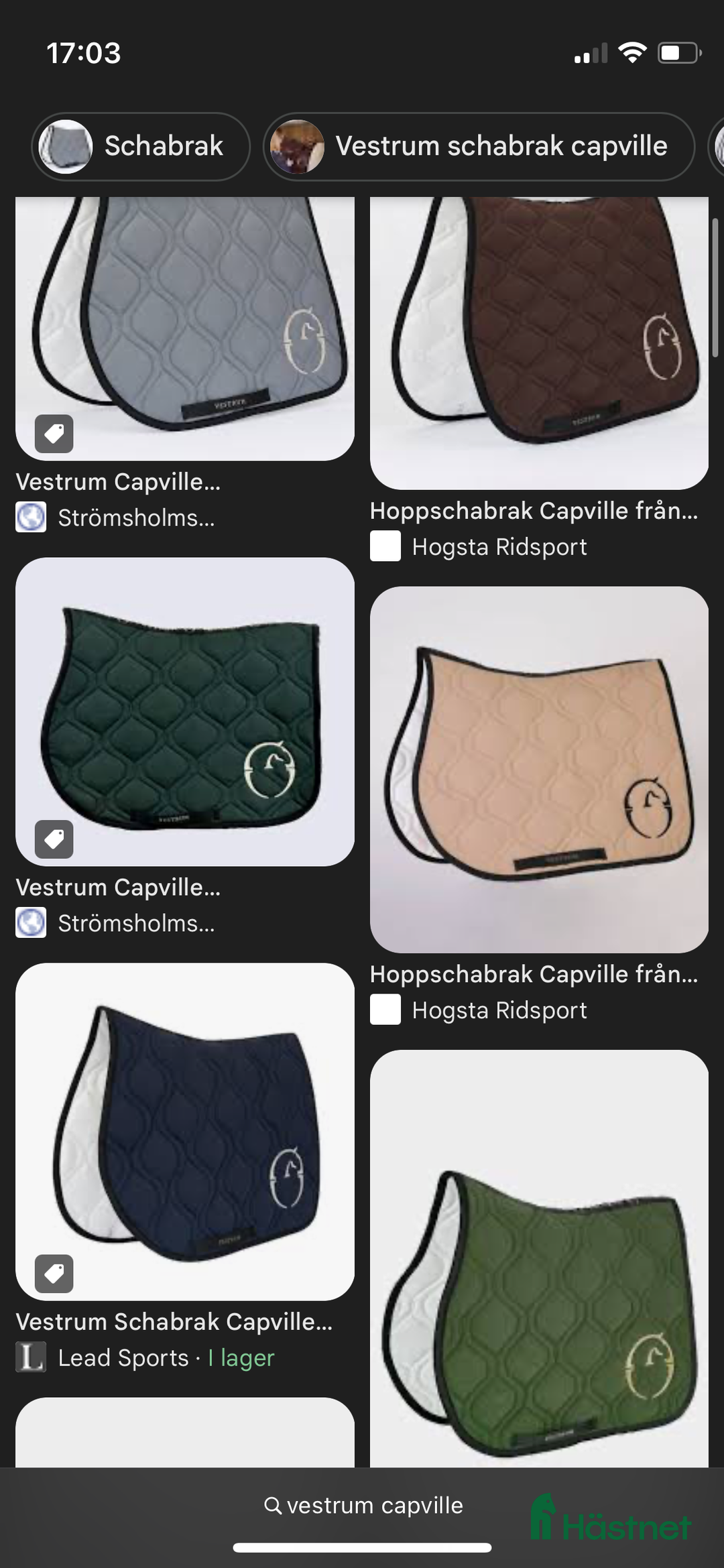 Schabrak & Vojlockar hästutrustning till salu: Vestrum schabrak och ridbyxor sökes i Genarp - Annons 1
