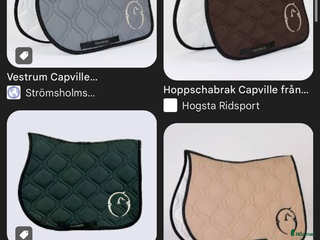 Schabrak & Vojlockar hästutrustning till salu: Vestrum schabrak och ridbyxor sökes i Genarp - Annons 4