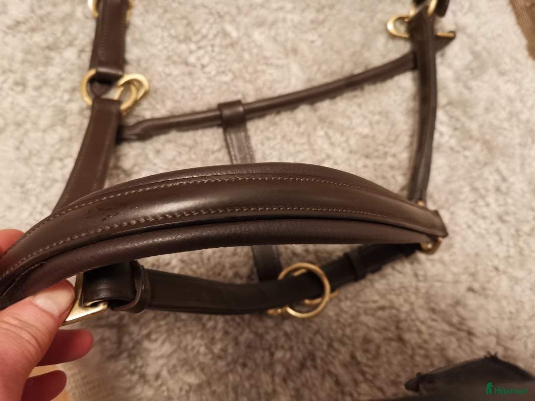 Övrig Hästutrustning hästutrustning till salu: Ny grimma i Ludvika - Annons 3