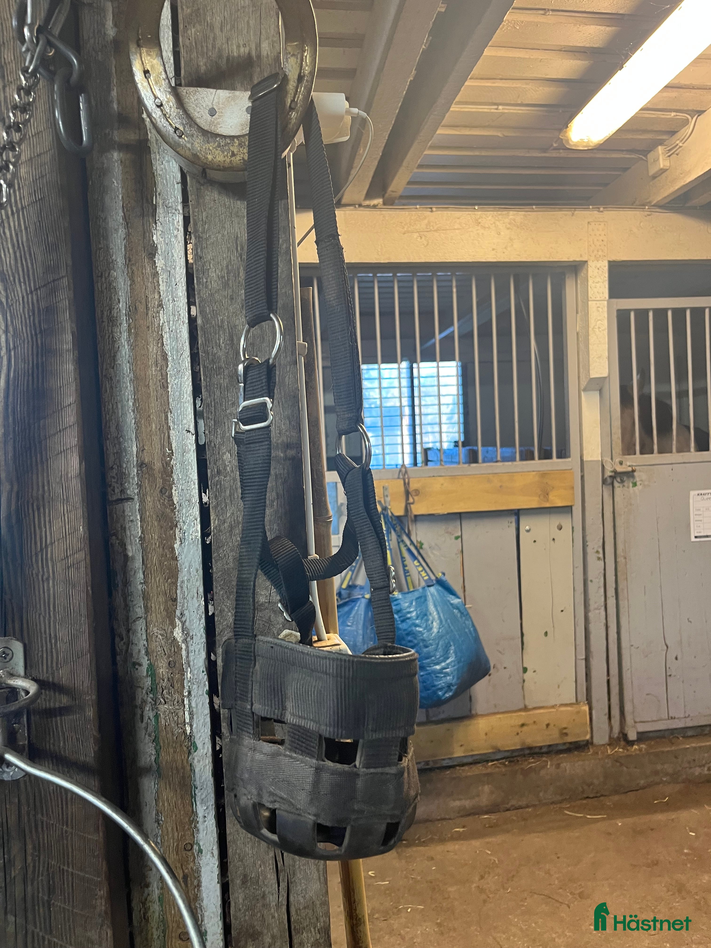 Övrig utrustning övrig utrustning till salu: Grimma  i Norrköping - Annons 5