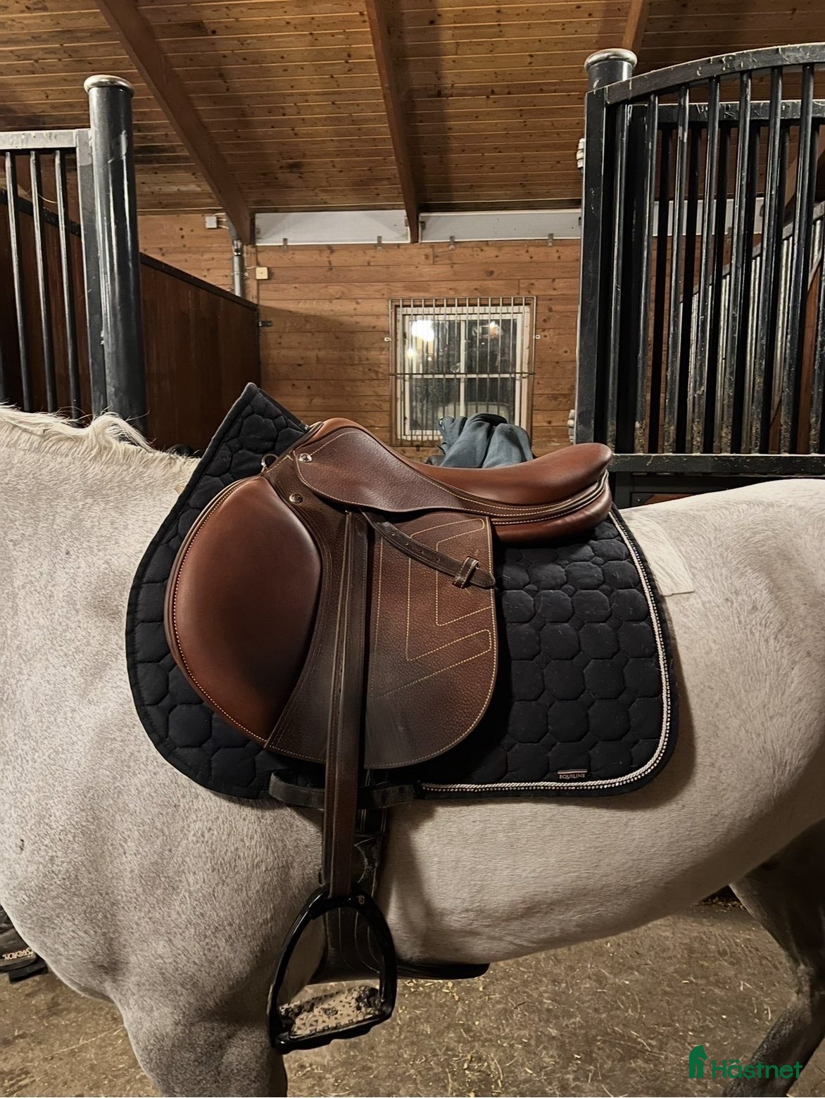 Sadlar hästutrustning Renaissance väldigt fint skick i Ekerö - Annons 5