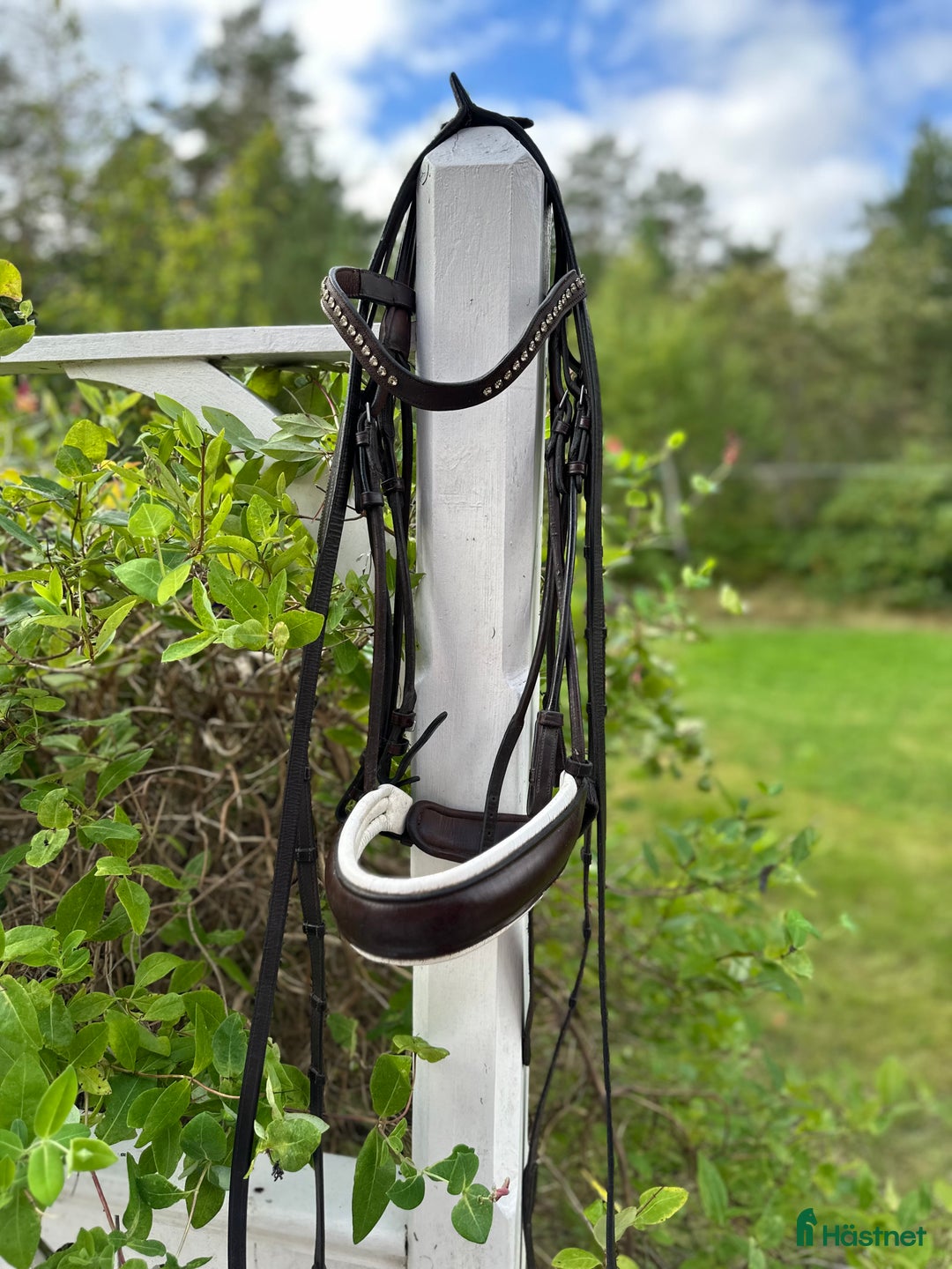 Träns hästutrustning till salu: Rundsytt kandar från Dyón i Lidingö - Annons 2