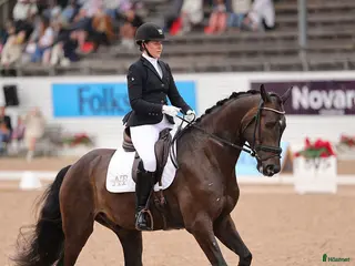 hästservice Träningar Helsingborg/omnejd - Annons 7