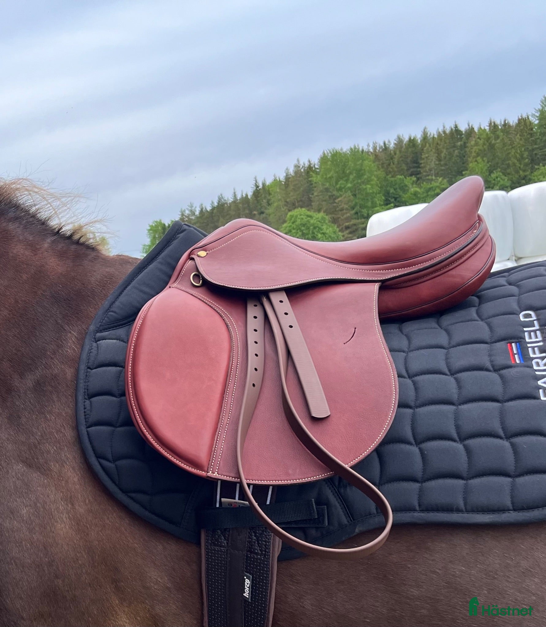 Sadlar hästutrustning Sadel med polyflexbom - Annons 2
