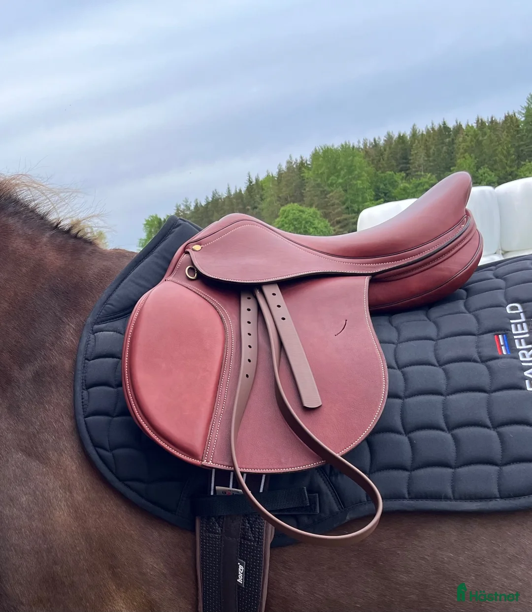 Sadlar hästutrustning till salu: Sadel med polyflexbom - Annons 1