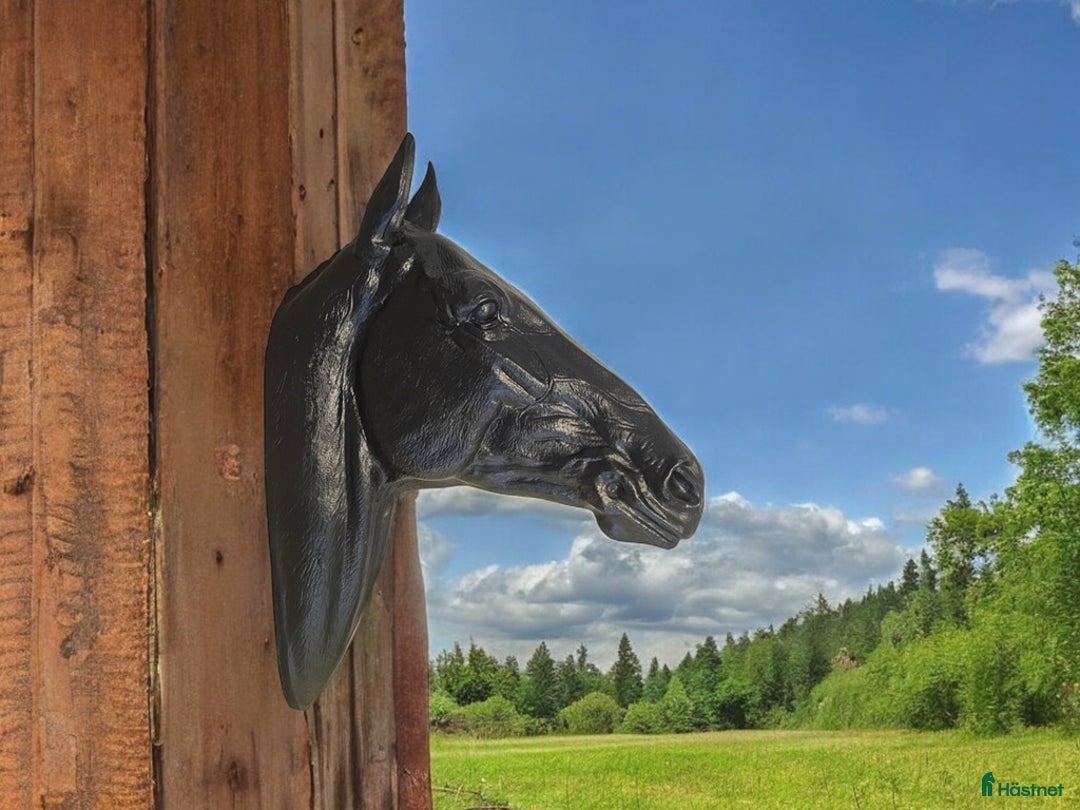 Hästinspirerad heminredning övrig utrustning till salu: Unika glasfiberhästar i naturlig storlek i Luleå - Annons 27