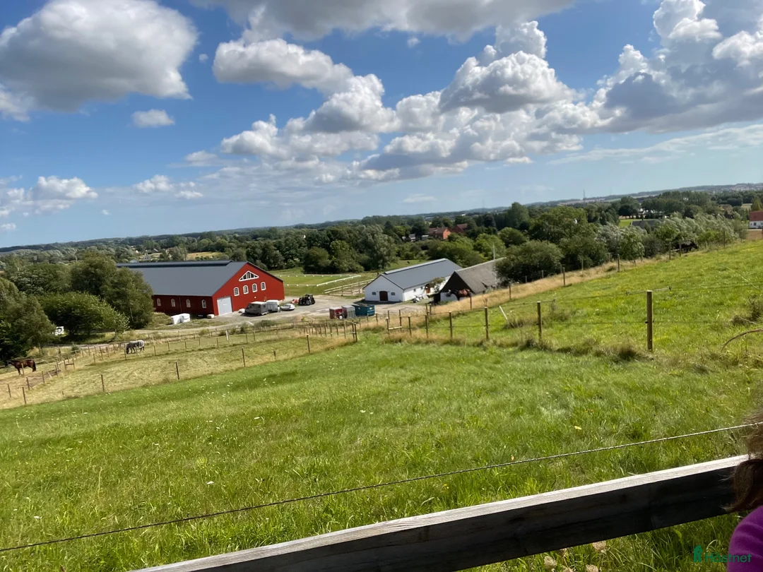 stallplats finnes: Boxplatser lediga i nybyggt stall och ridhus 2022. - Annons 9