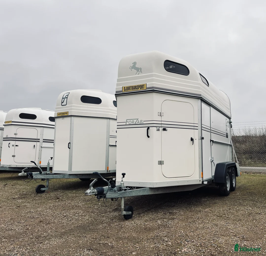 Hästtransporter  fordon & transport till salu: Forzab Cavallo/Futuro SEH20 - Annons 1