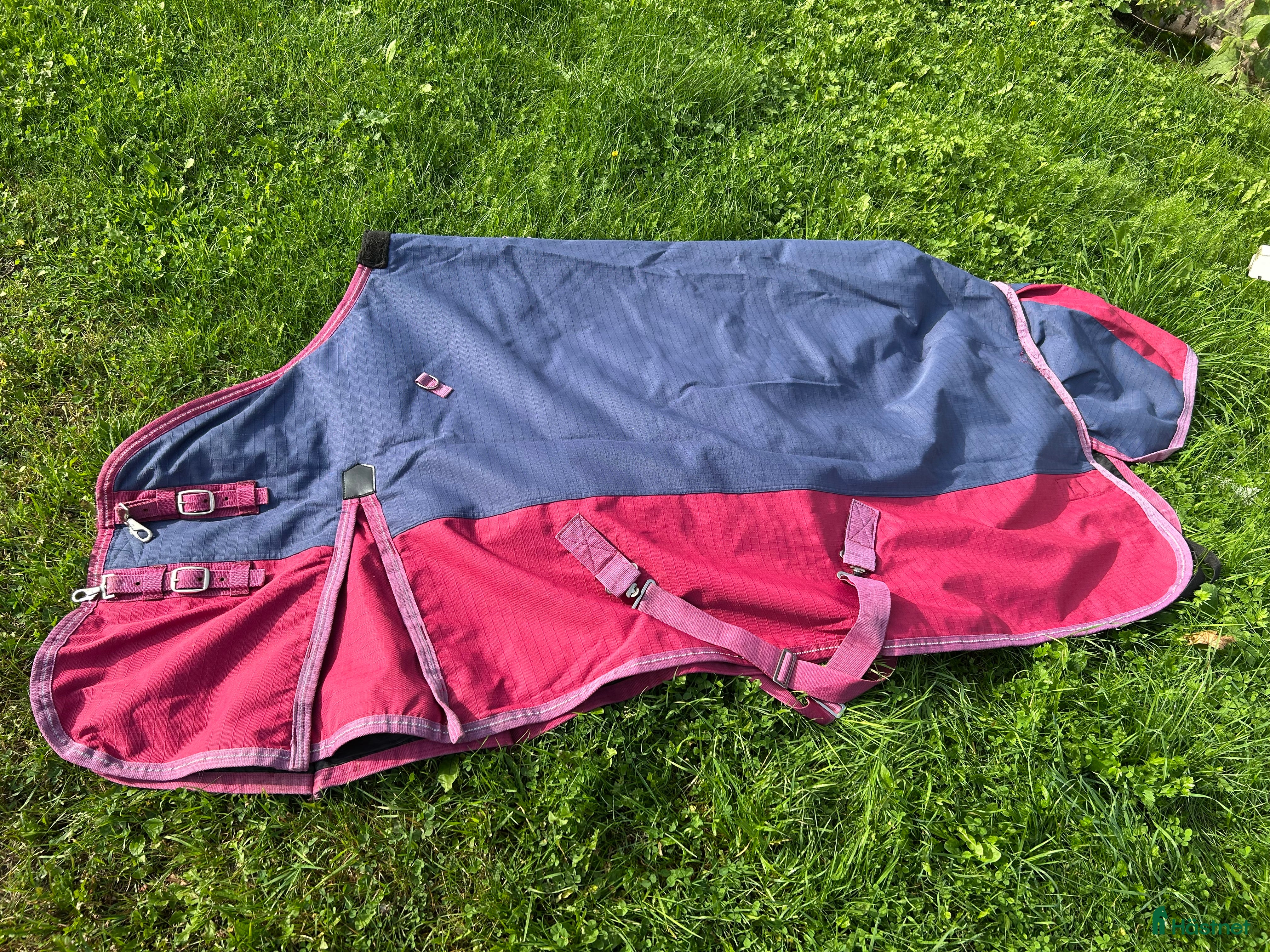 Täcken hästutrustning Vintertäcke + hals i Smedjebacken - Annons 12