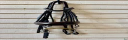 Träns hästutrustning till salu: Equipe kandar - Annons 1