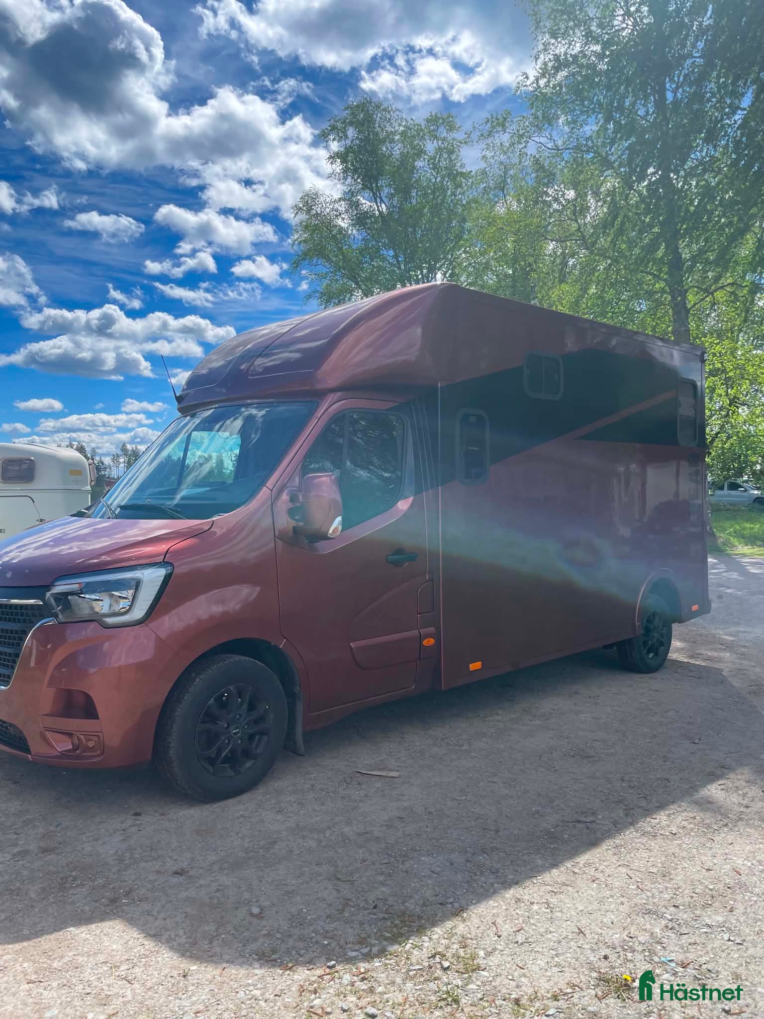 Hästlastbilar  fordon & transport till salu: Stuteri Meetingbuss  - Annons 2