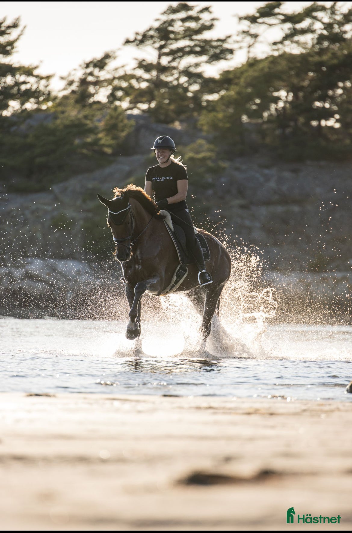  hästar Trevlig valack. i Strömstad - Annons 2