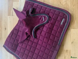 Schabrak & Vojlockar hästutrustning Vill du va lite extra fin på tävling? i Strömstad - Annons 1