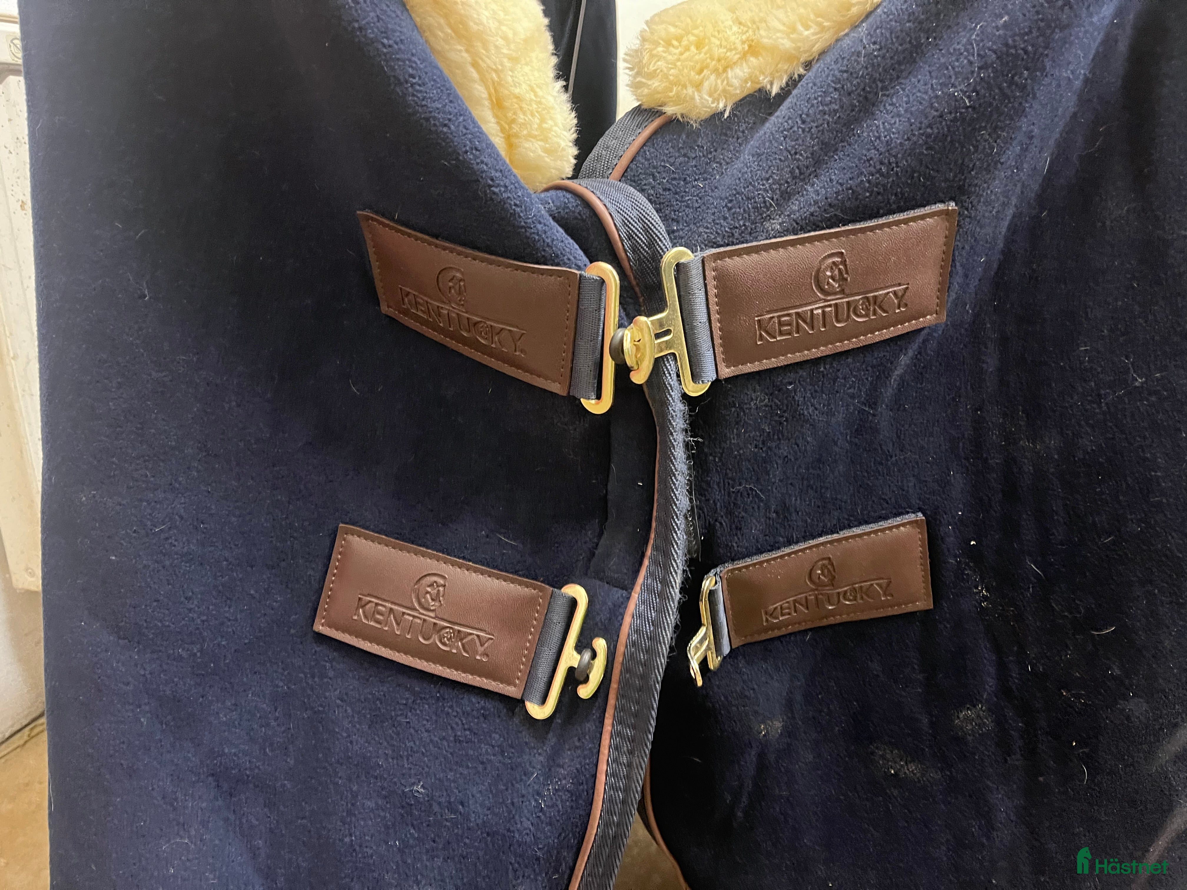 Täcken hästutrustning till salu: Kentucky täcke  i Veberöd - Annons 14