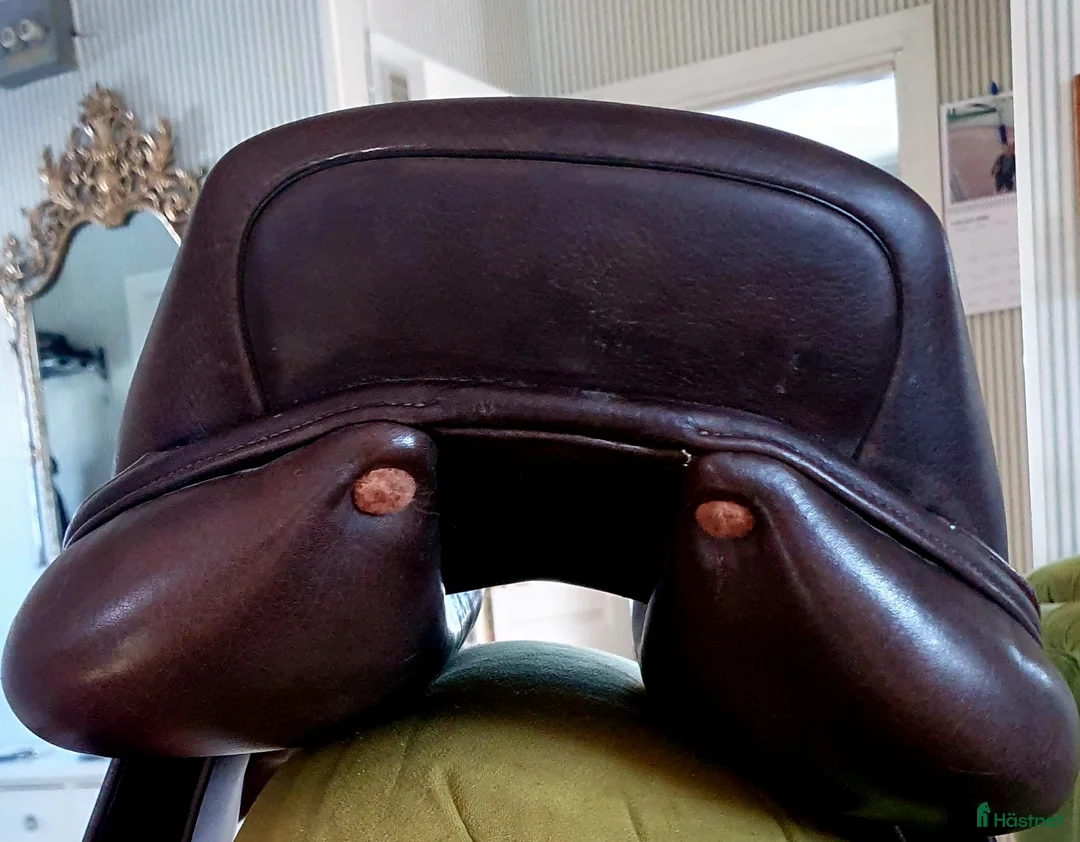 Sadlar hästutrustning till salu: Brun hoppsadel 16,5 " - Annons 7