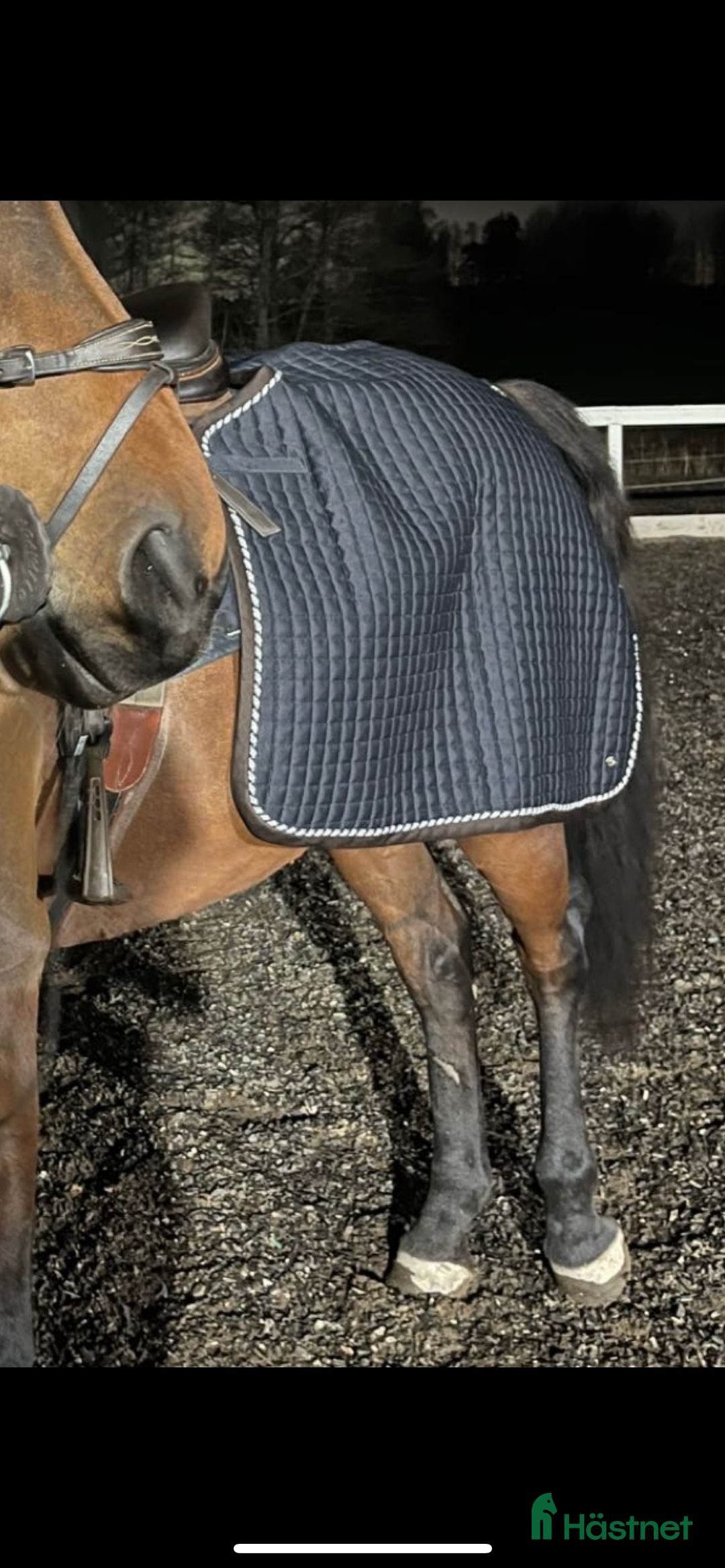 Täcken hästutrustning till salu: Ps of sweden ländtäcke i Österhaninge - Annons 1