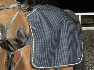 Täcken hästutrustning till salu: Ps of sweden ländtäcke i Österhaninge - Annons 2