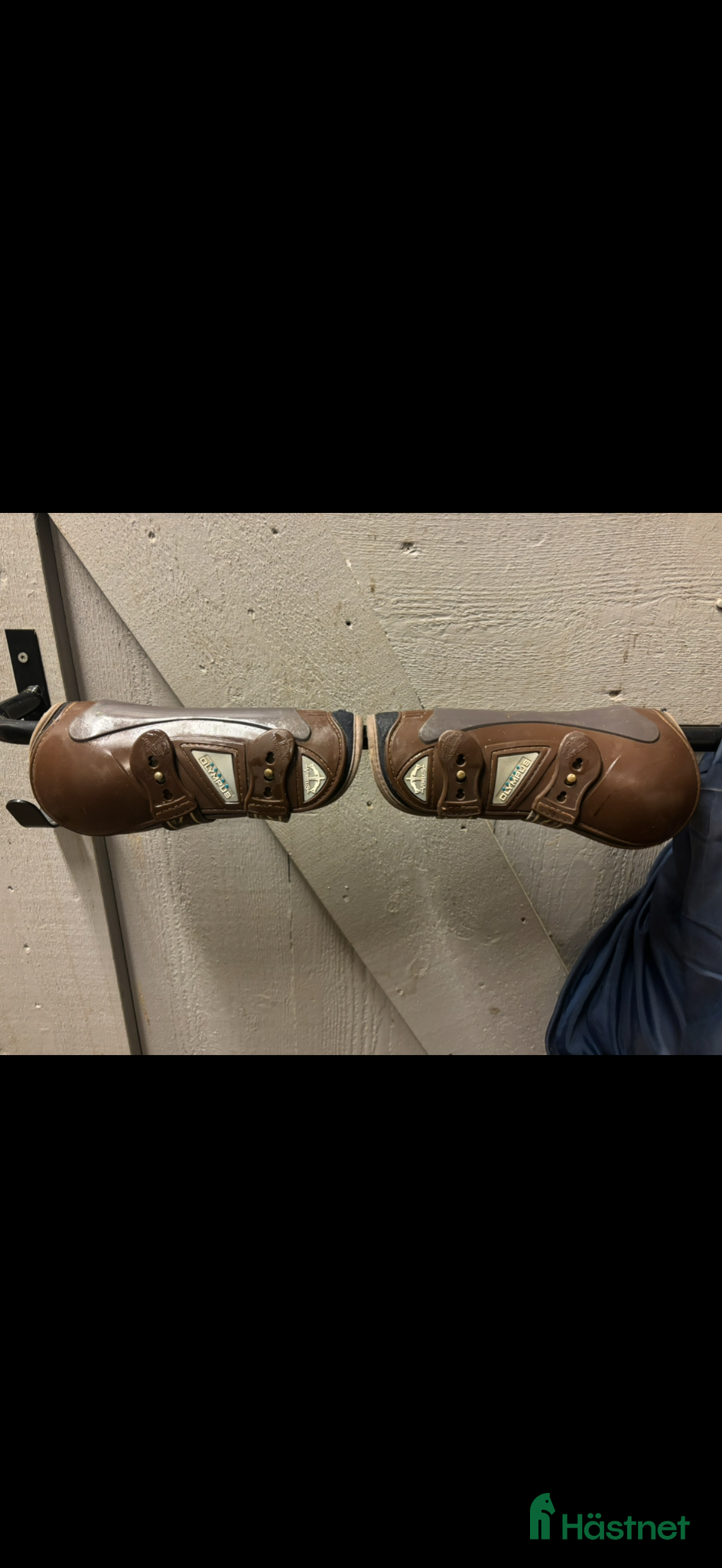 Benskydd hästutrustning Veredus framskydd - Annons 3