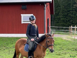 medryttarhäst sökes: Medryttarhäst sökes i Mariestad - Annons 12