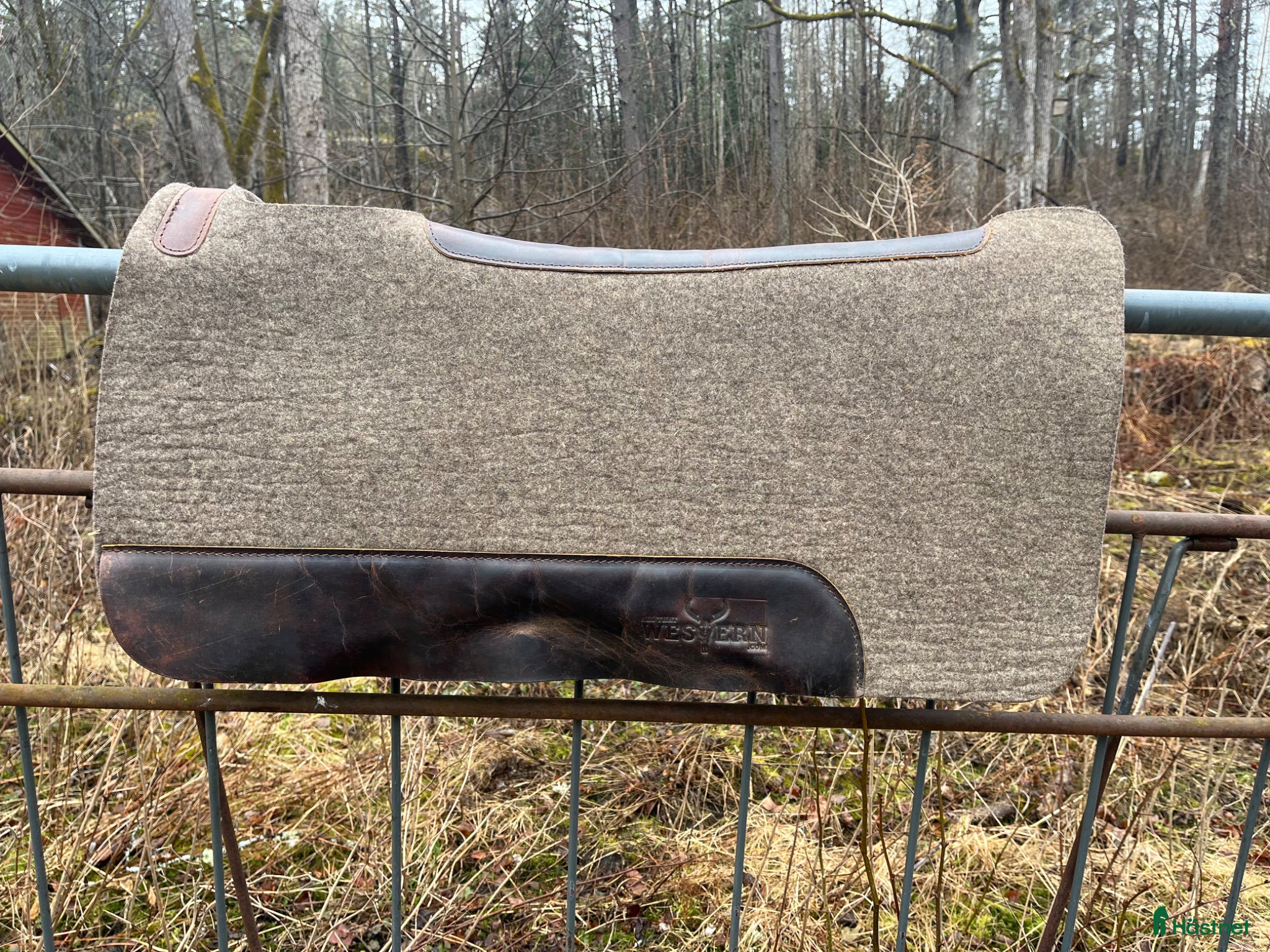 Sadeltillbehör hästutrustning Westernpad All that western - Annons 9