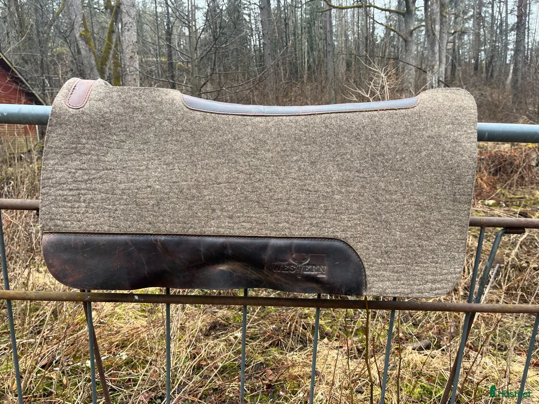 Sadeltillbehör hästutrustning till salu: Westernpad All that western - Annons 1