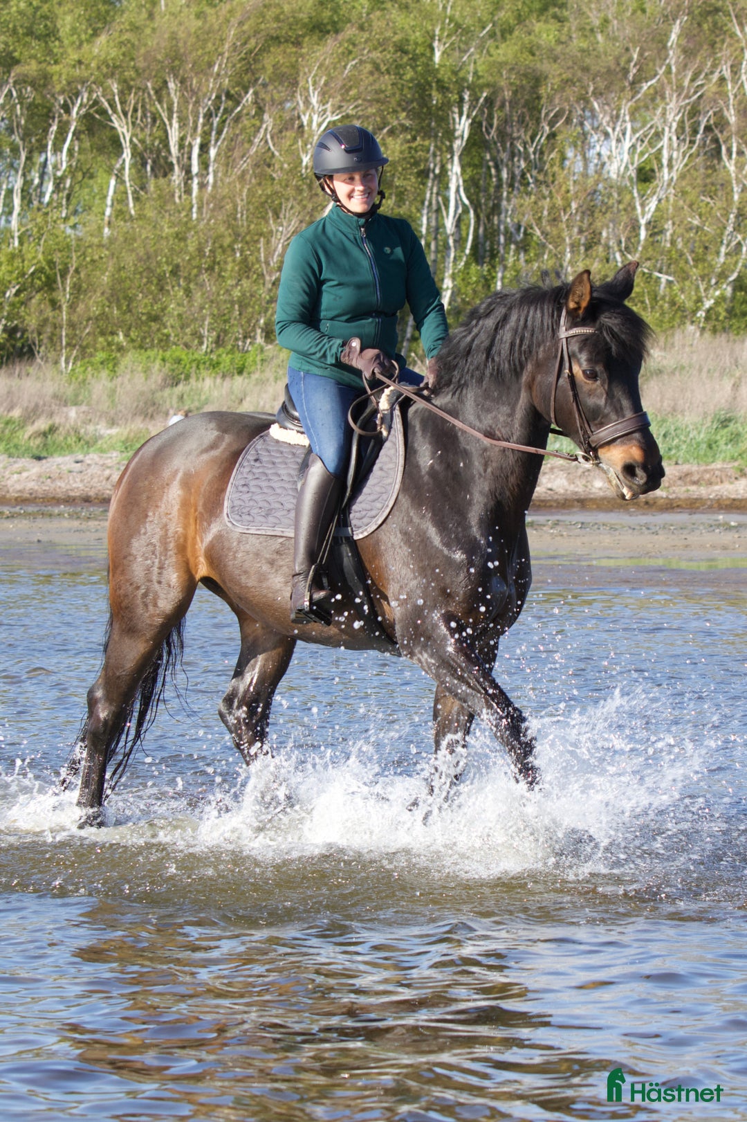 Galleribild {{count}}