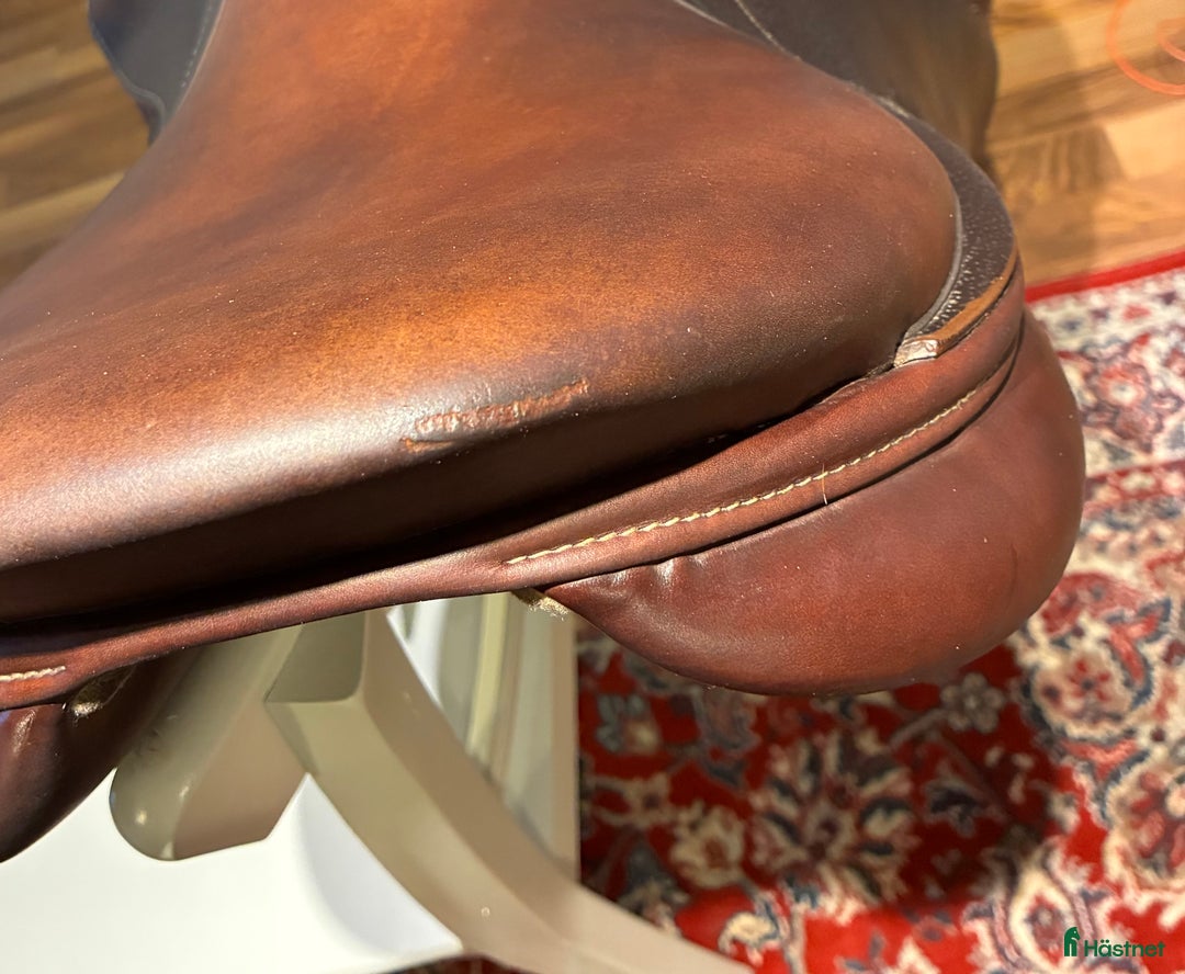 Sadlar hästutrustning till salu: Fin Antarés Altair i Västerås - Annons 6