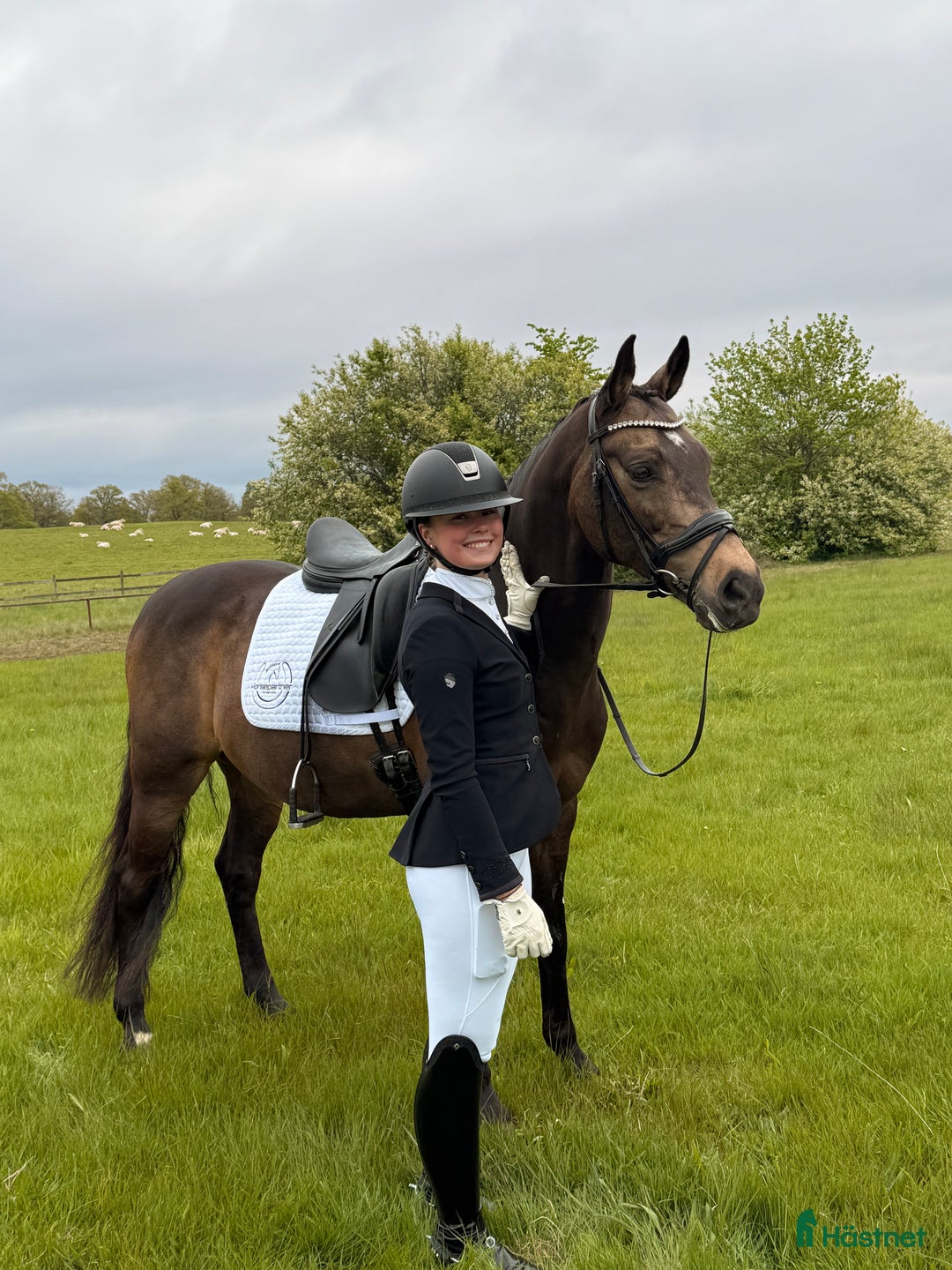 Dressyr hästar till salu: Topp FEI ponny i Nybrostrand - Annons 3