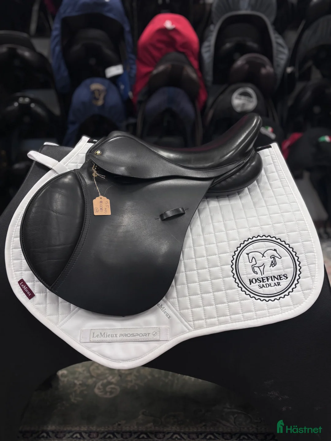 Sadlar hästutrustning till salu: Morris & Nolan 15,5” ✨ - Annons 1