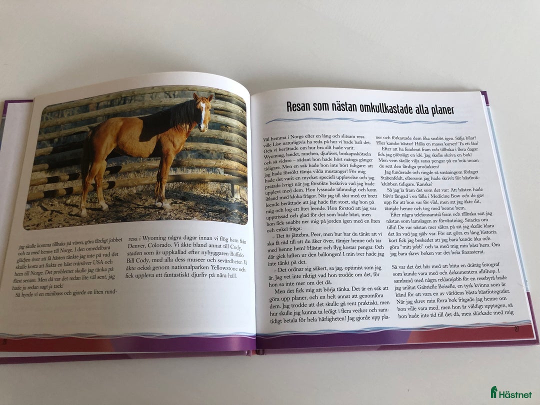Hästinspirerad heminredning övrig utrustning till salu: Cheyenne - Vild och Vacker Pollux Hästbokklubb i Växjö - Annons 3