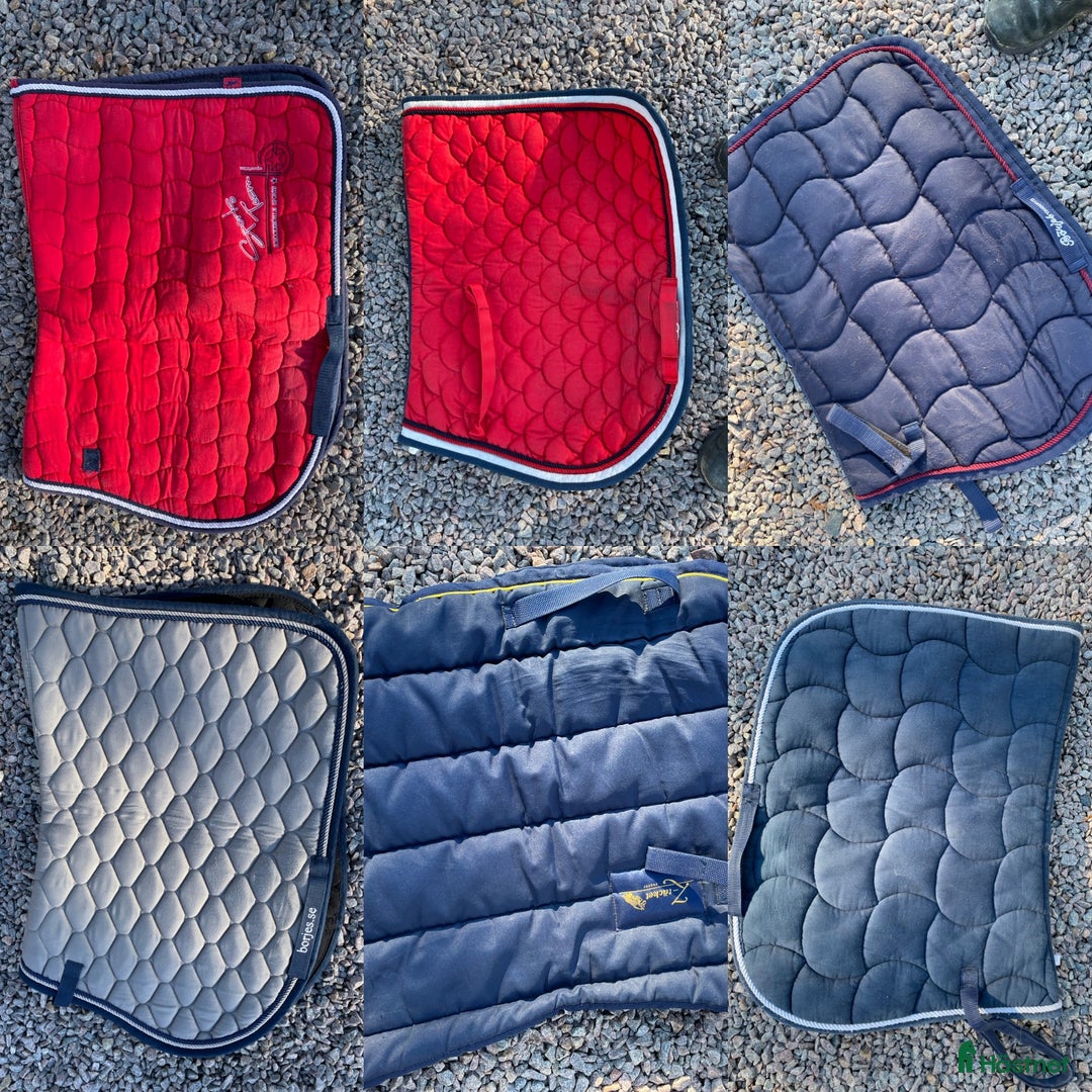 Övrig Hästutrustning hästutrustning till salu: Blandad hästutrustning i Vallda - Annons 20