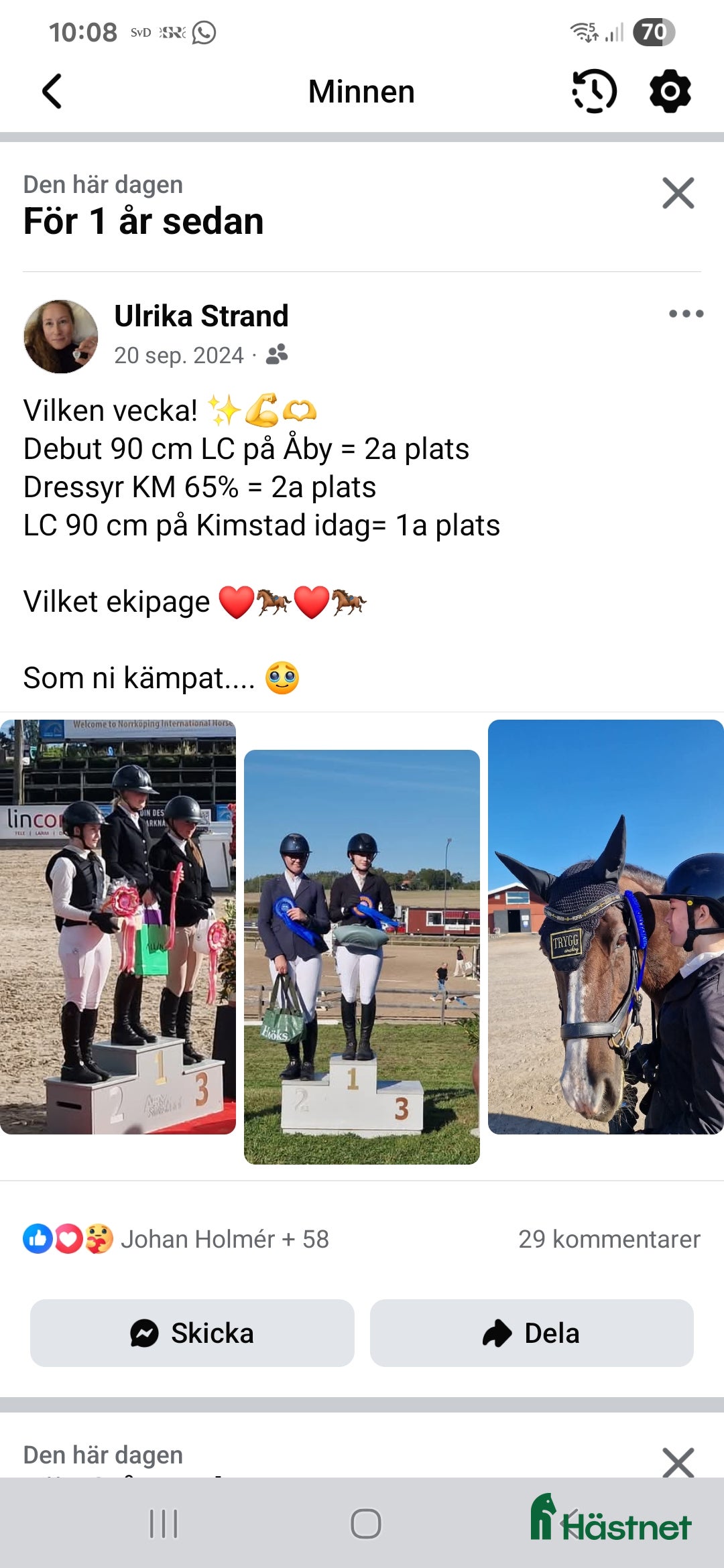 Allround hästar till salu: Elegant multi-talang i Svärtinge - Annons 6