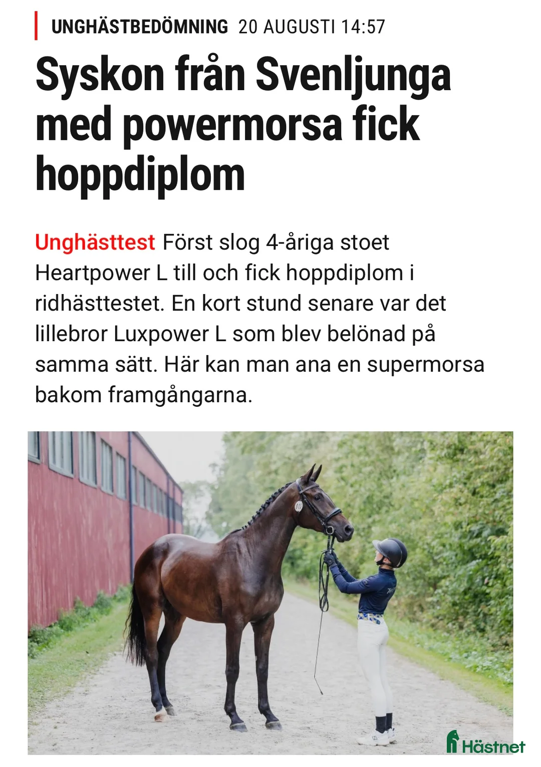 Avelshästar hästar till salu: Powermamma! - Annons 3