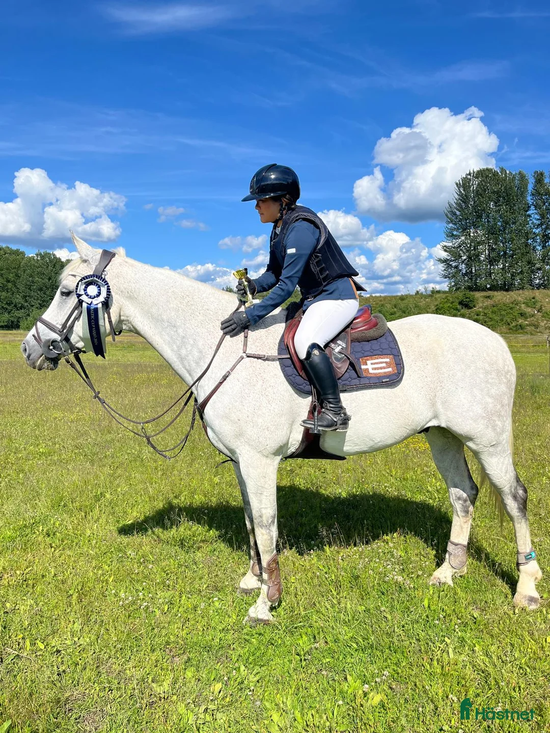 Hoppning hästar till salu: Stabil och erfaren läromästare i hoppning i Värnamo - Annons 4