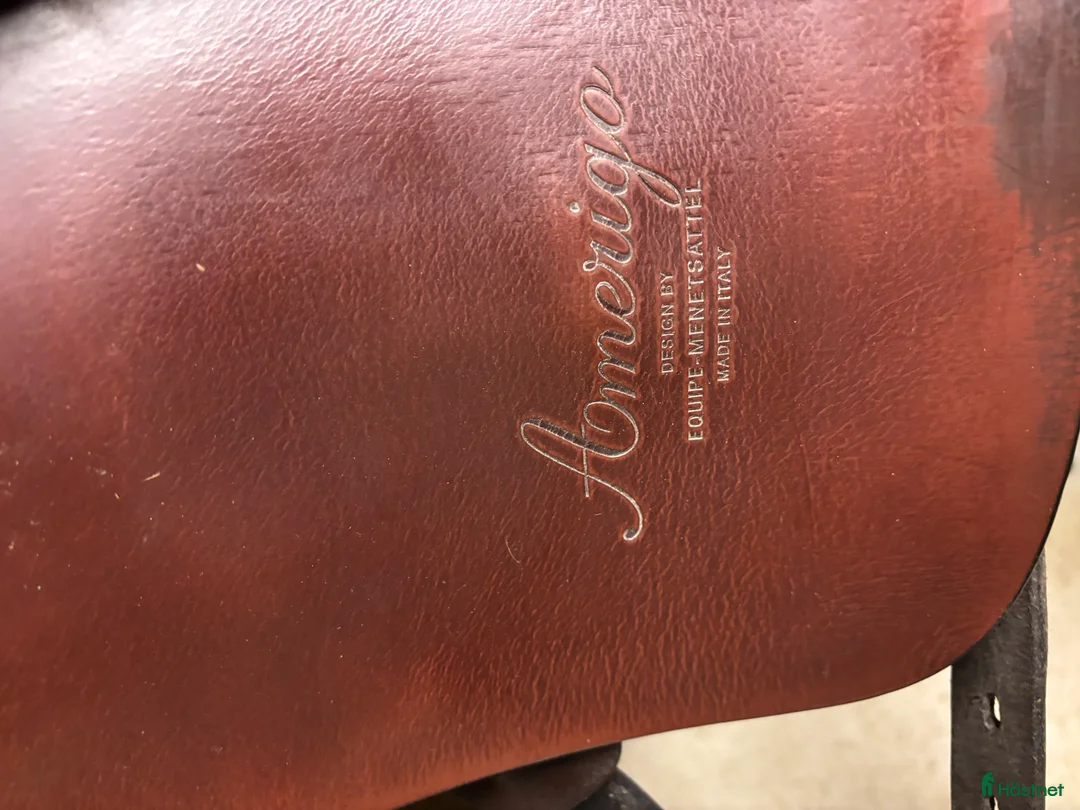 Sadlar hästutrustning till salu: Amerigo classic i Jät - Annons 3