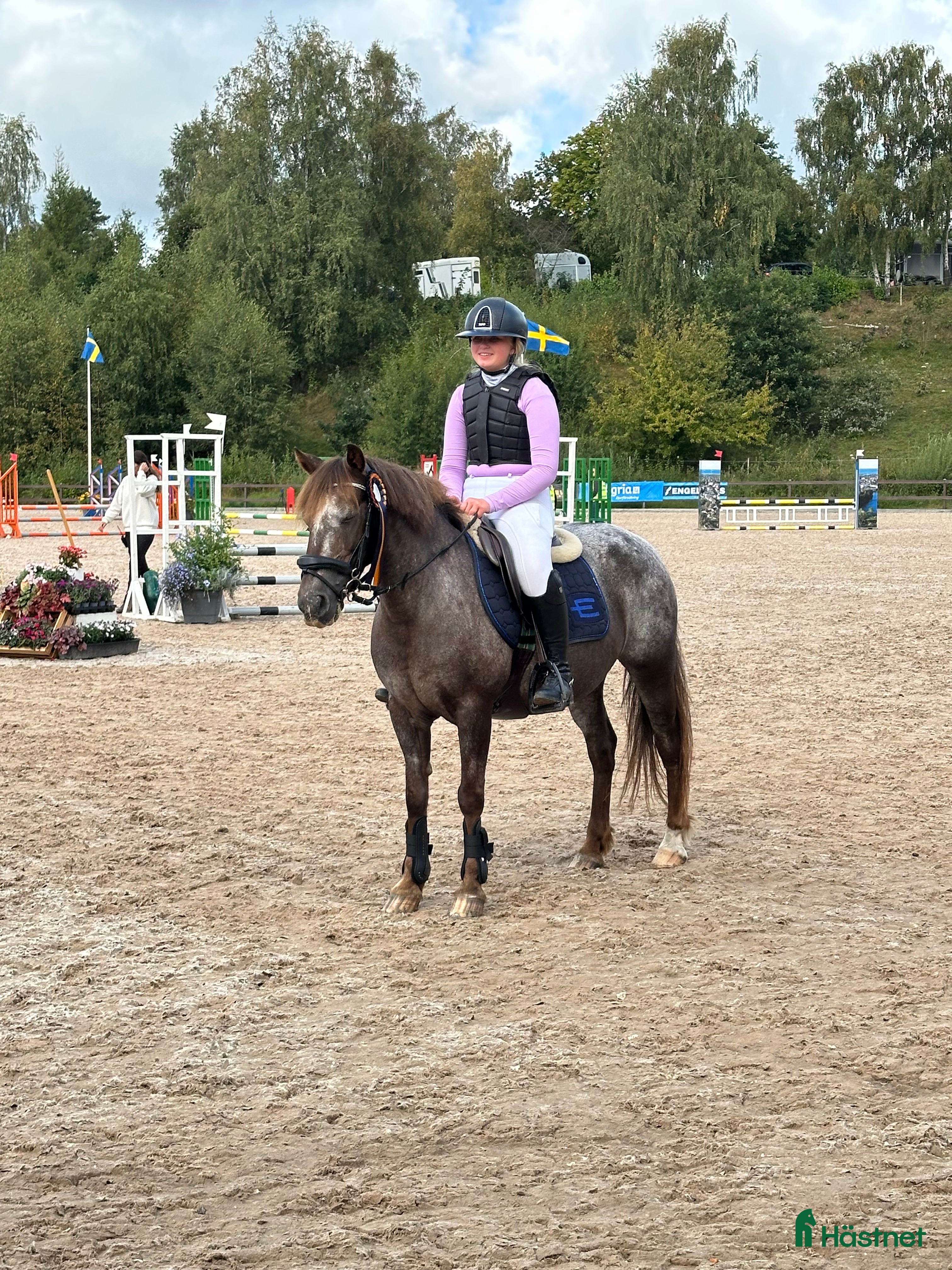  hästar Världens Bästa Ponny i Skepplanda - Annons 2