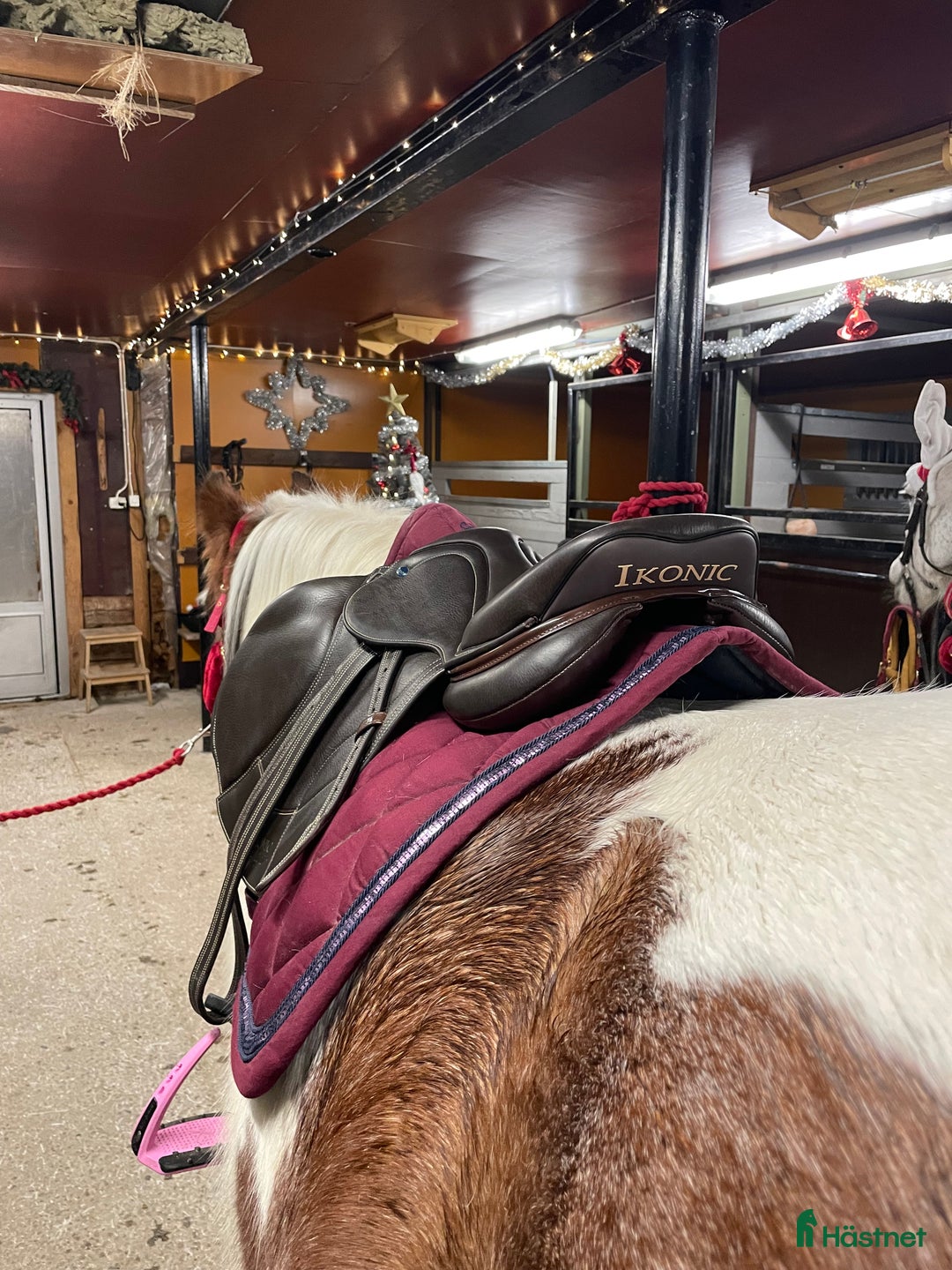 Sadlar hästutrustning till salu: ikonic sadel i Haparanda - Annons 5