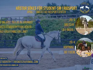 hästar Hästar sökes för Student-SM i ridsport i Linköping - Annons 10