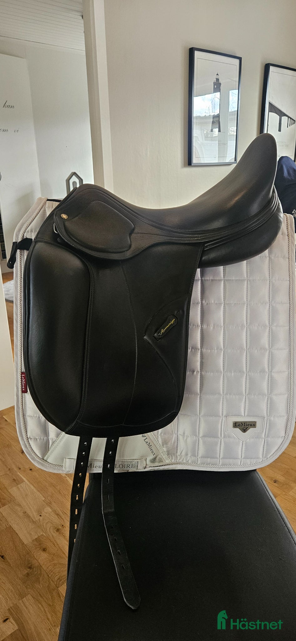 Sadlar hästutrustning Amerigo Pasubio Pinerolo - Annons 4
