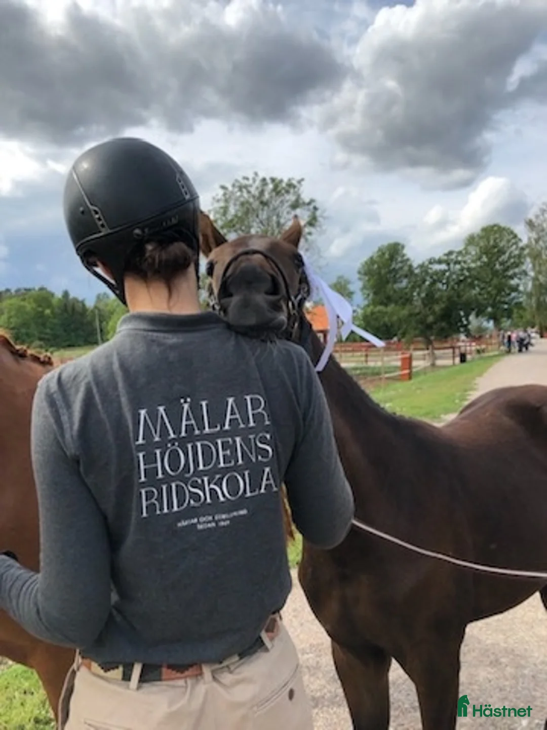  hästjobb finnes: Ridlärare - Annons 5