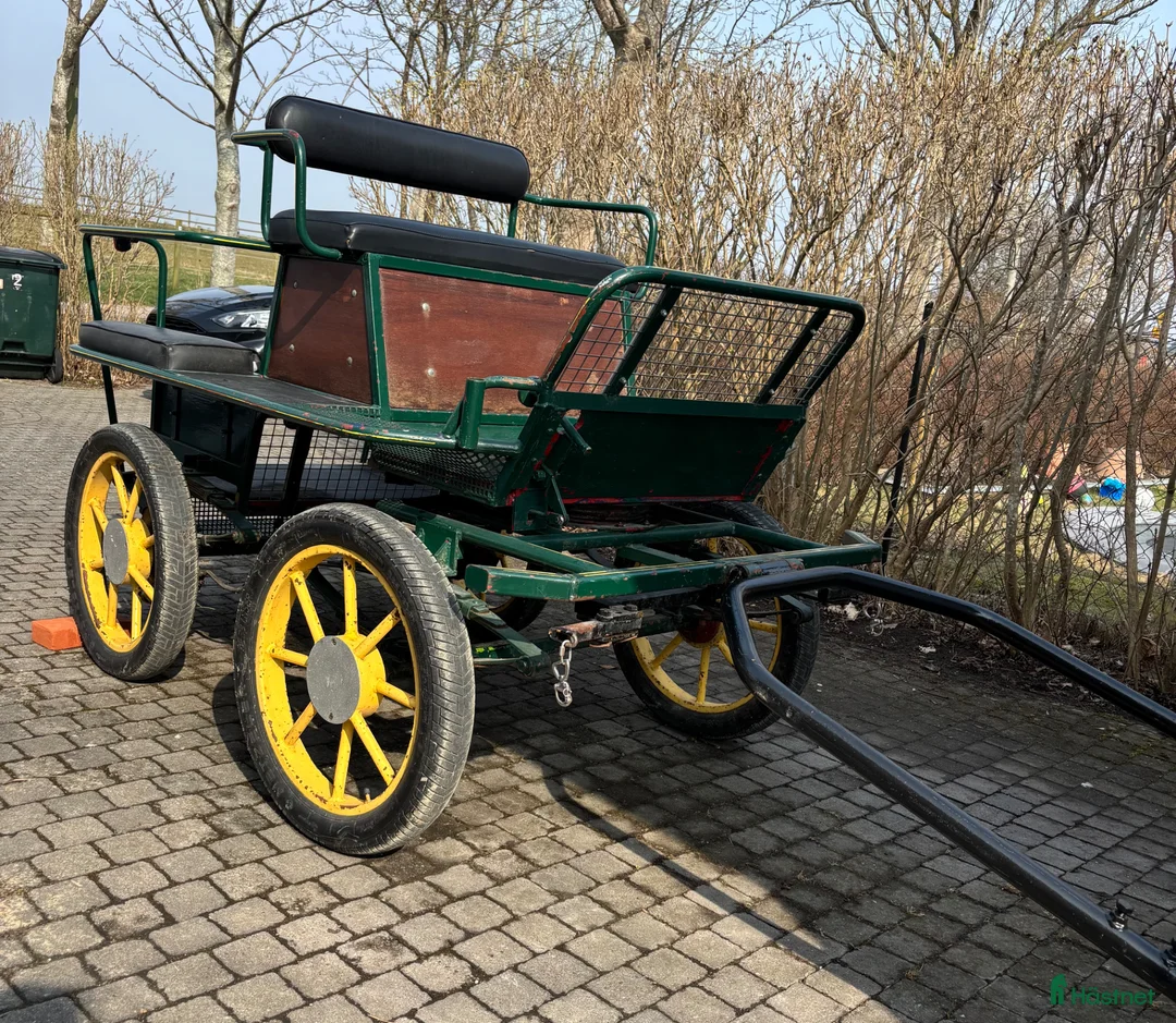 Körvagnar körning till salu: Maratonvagn, Wagonette - Annons 2