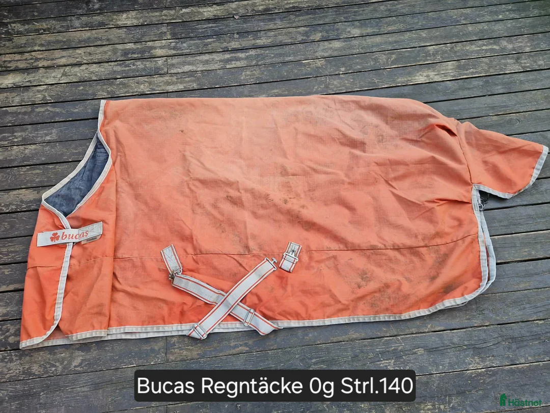 Täcken hästutrustning till salu: Bucas Regntäcke - Annons 1