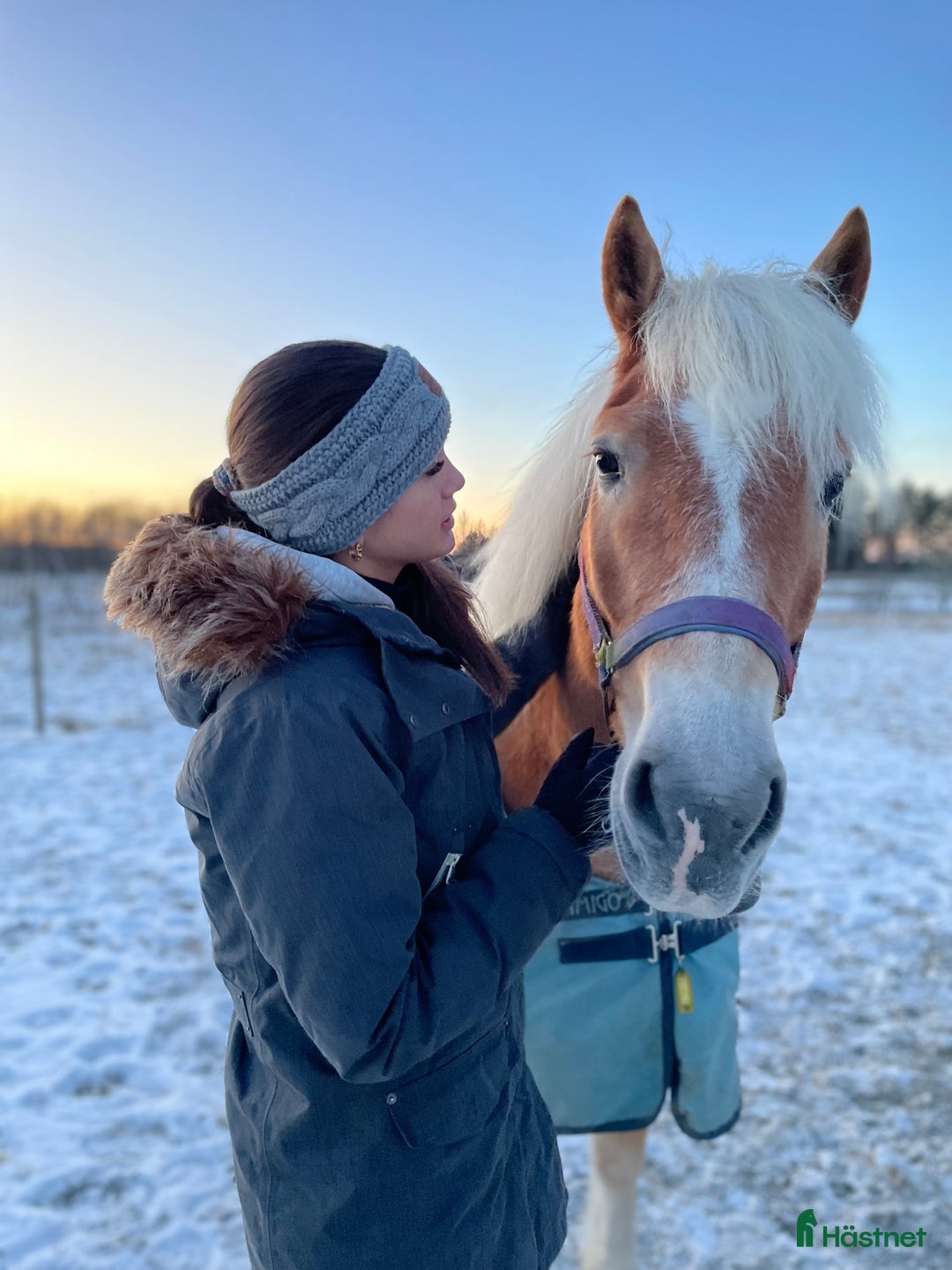 Allround hästar sökes: Låna häst till senare köp!🌟 i Vänersborg - Annons 1