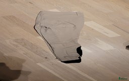 Ridbyxor ryttarutrustning till salu: Beiga CT american ridbyxor i nyskick i Bålsta - Annons 1