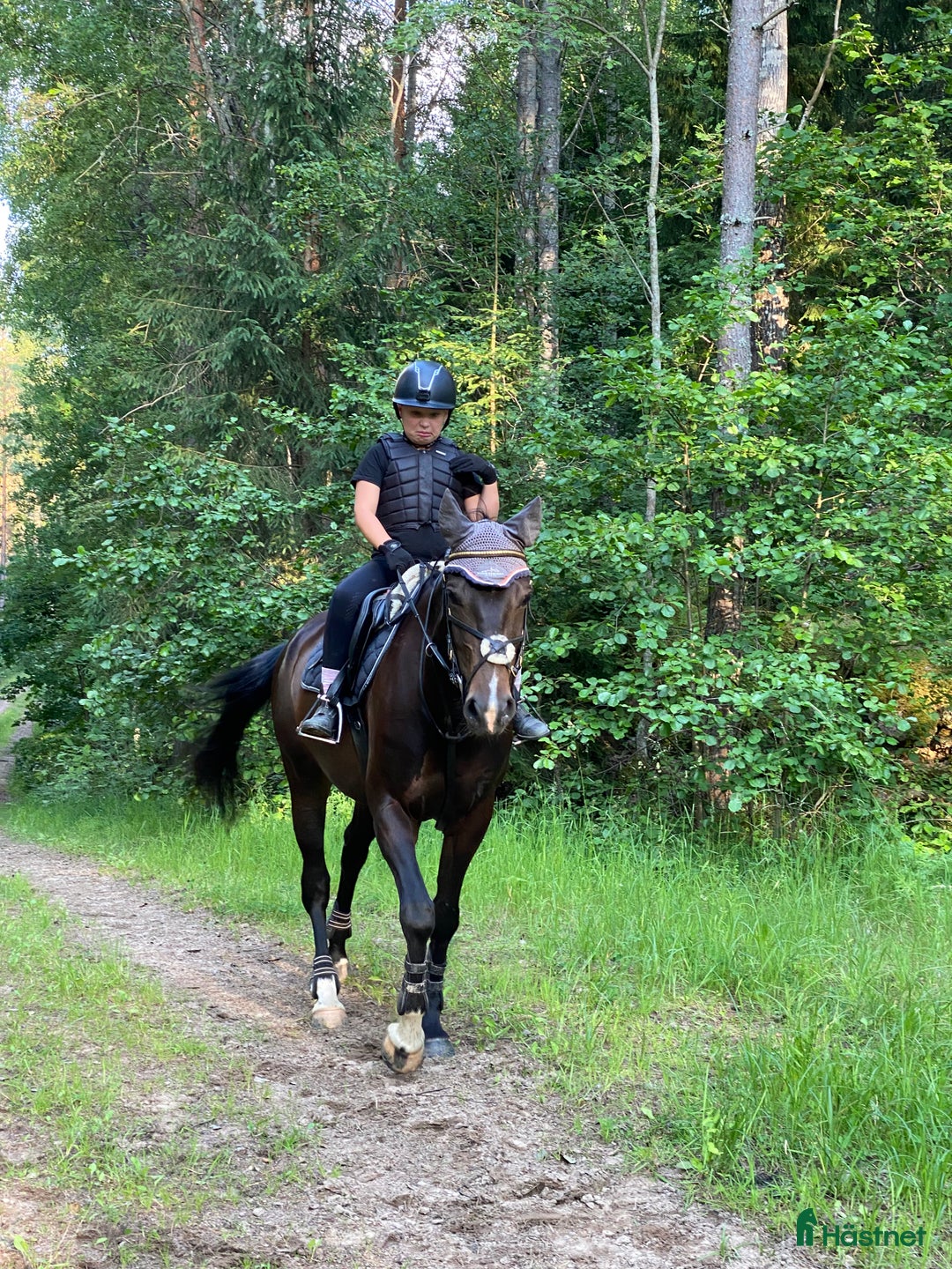 Allround hästar till salu: Vackert sto med framtiden framför sig! i Boxholm - Annons 1