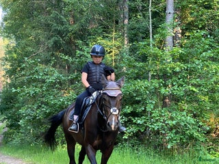 Allround hästar till salu: Vackert sto med framtiden framför sig! i Boxholm - Annons 2