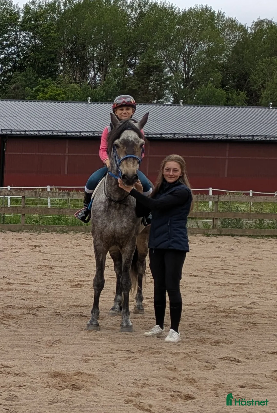 Allround hästar till salu: Trevlig läromästare - Annons 1